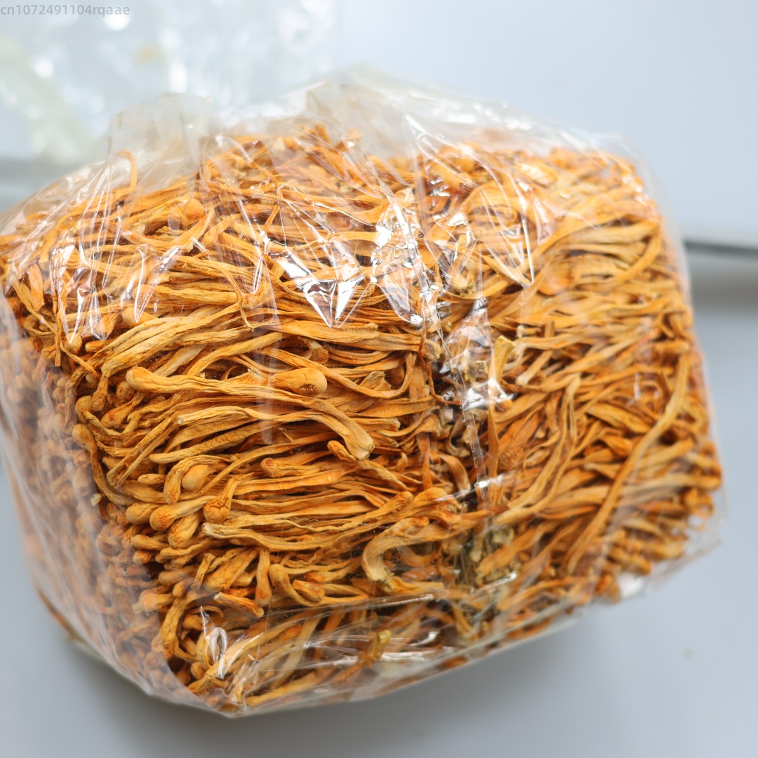 250g/500g Premium Natural Drie - Soap Making Diy Kit ulasan dan harga