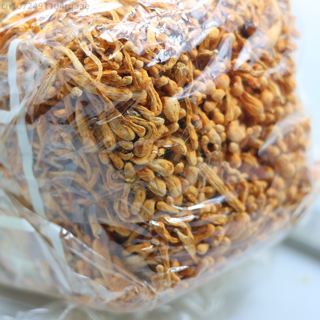 250g/500g Premium Natural Drie - Soap Making Diy Kit ulasan dan harga